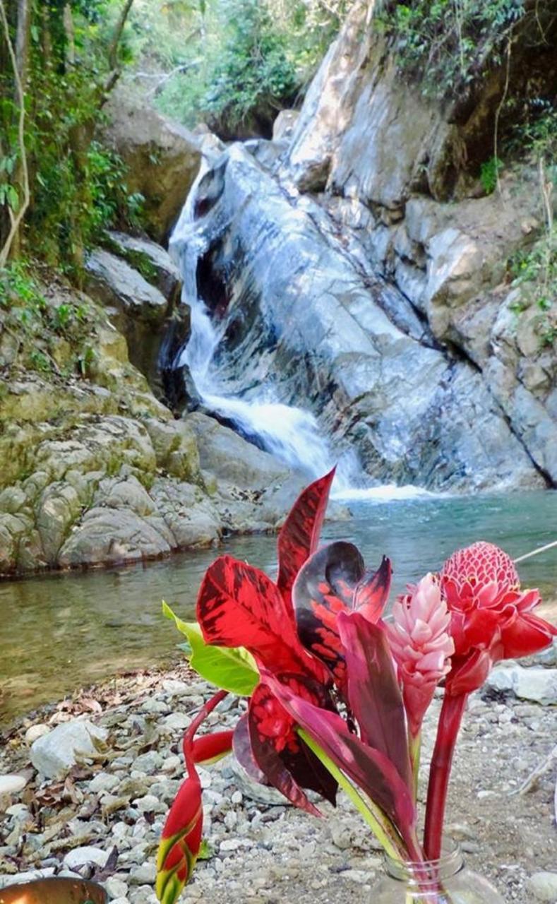 Glamping Finca Margaritas Pluma Hidalgo ภายนอก รูปภาพ
