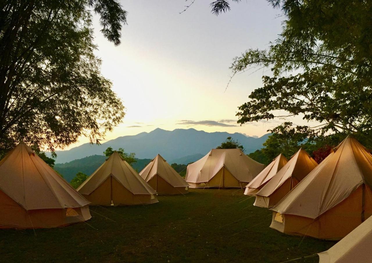 Glamping Finca Margaritas Pluma Hidalgo ภายนอก รูปภาพ
