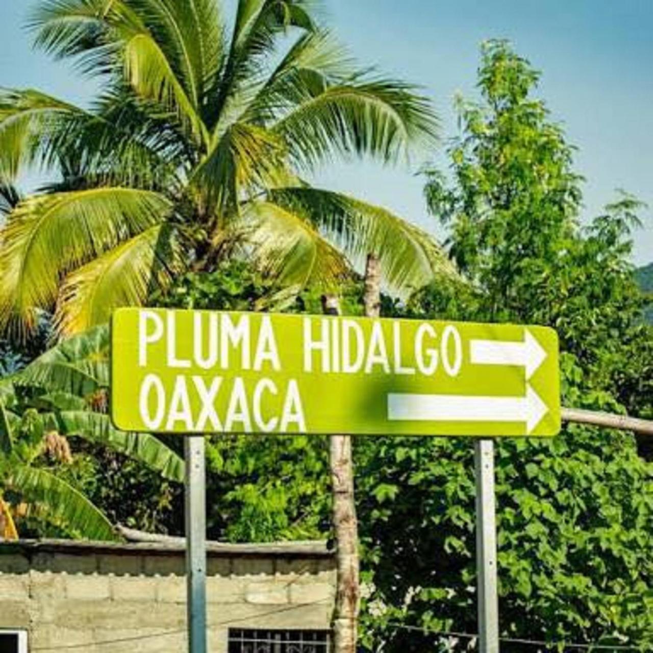Glamping Finca Margaritas Pluma Hidalgo ภายนอก รูปภาพ